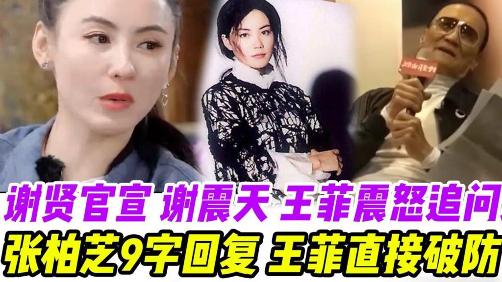 謝賢官宣“謝震天”，王菲震怒追問謝霆鋒：“真不要臉，不是你的種也認”張柏芝9字回復，王菲大怒：”我要讓你破產，身敗名裂