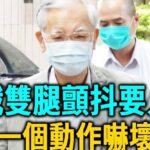 連戰近況讓人擔憂！患癌滿頭髮全白走路要人扶太心酸！妻子假面被揭穿！