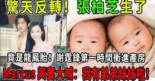 天降祥瑞！張柏芝誕下龍鳳胎，香港上空驚現雙彩虹！謝霆鋒擲10億豪宅作禮物，當場向王菲隔空喊話：我謝家，你高攀不起了！