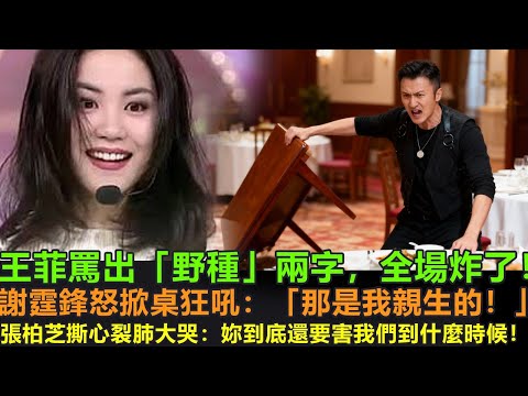 王菲罵出「野種」兩字，全場炸了！謝霆鋒怒掀桌狂吼：「那是我親生的！」張柏芝撕心裂肺大哭：「妳到底還要害我們到什麼時候！」