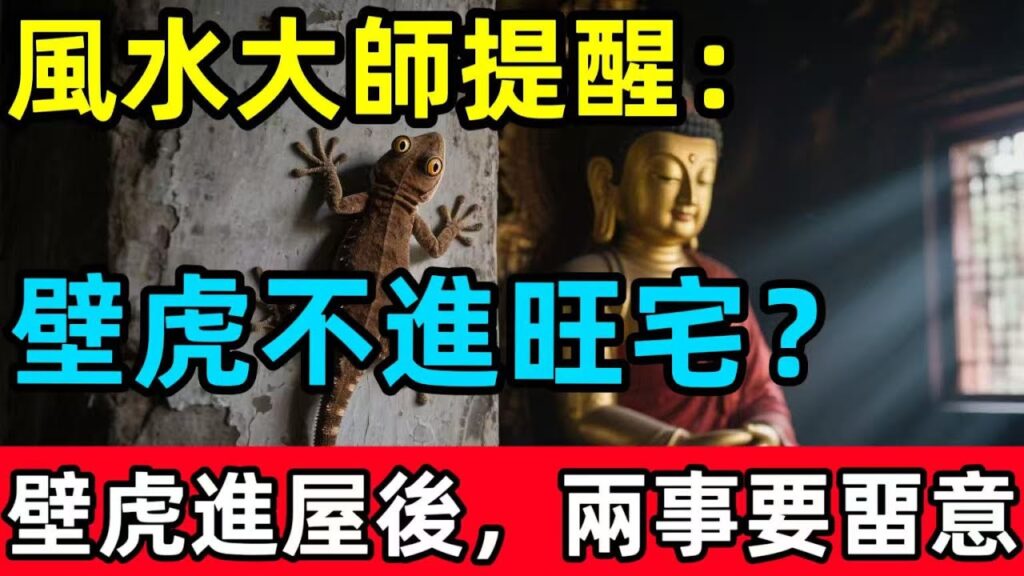 風水大師提醒：壁虎不進旺宅？當壁虎進屋後，這兩件事要畱意！