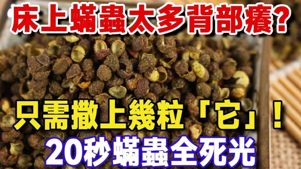 床上蟎蟲太多背部癢？只需撒一把「它」等待20秒，不用洗不用曬，蟎蟲成片死光光！老祖宗的方法太管用