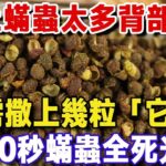 床上蟎蟲太多背部癢？只需撒一把「它」等待20秒，不用洗不用曬，蟎蟲成片死光光！老祖宗的方法太管用