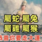 【屬蛇 屬兔 屬雞 屬猴】恭喜你要走大運了！今天你只要打開此文，2025年一切的貧窮、霉運、疾病統統送走！