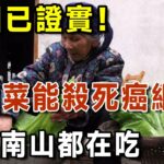 美國已證實，這個蔬菜抗癌性最強，天天吃它，可以直接消滅癌細胞！全家人都不怕得癌